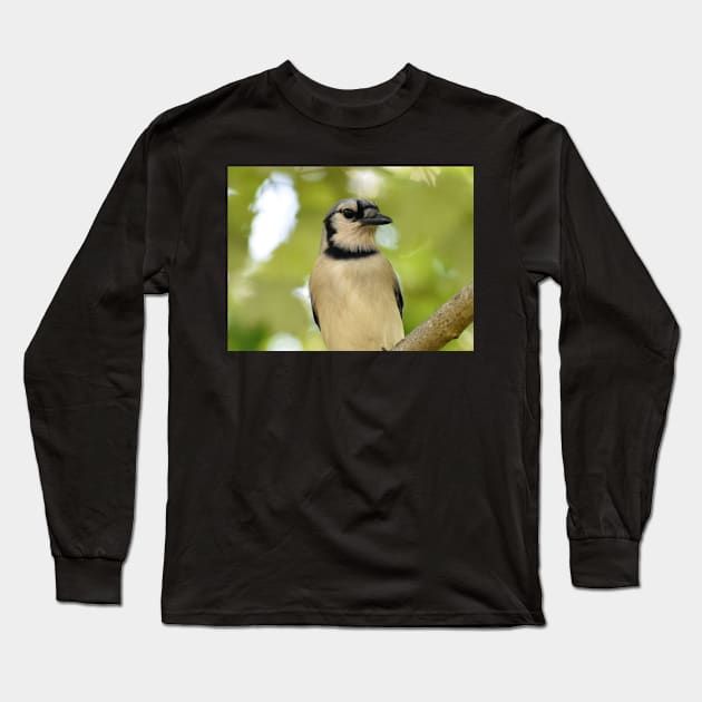 Portrait of  a BlueJay Long Sleeve T-Shirt by ToniaDelozier